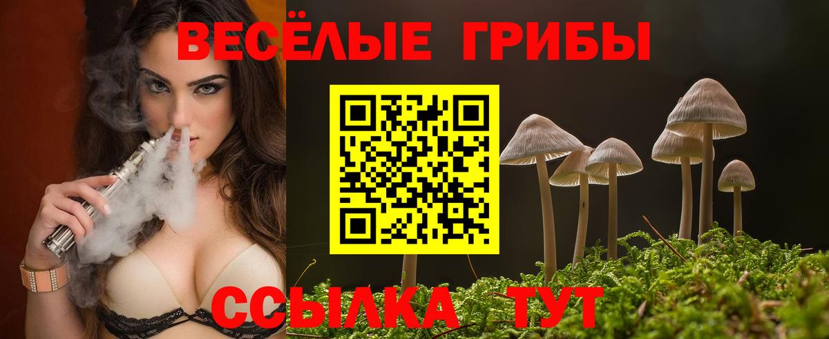 Галлюциногенные грибы GOLDEN TEACHER  Вход с VPN  Псилоцибиновые грибы мицелий  Ялуторовск 